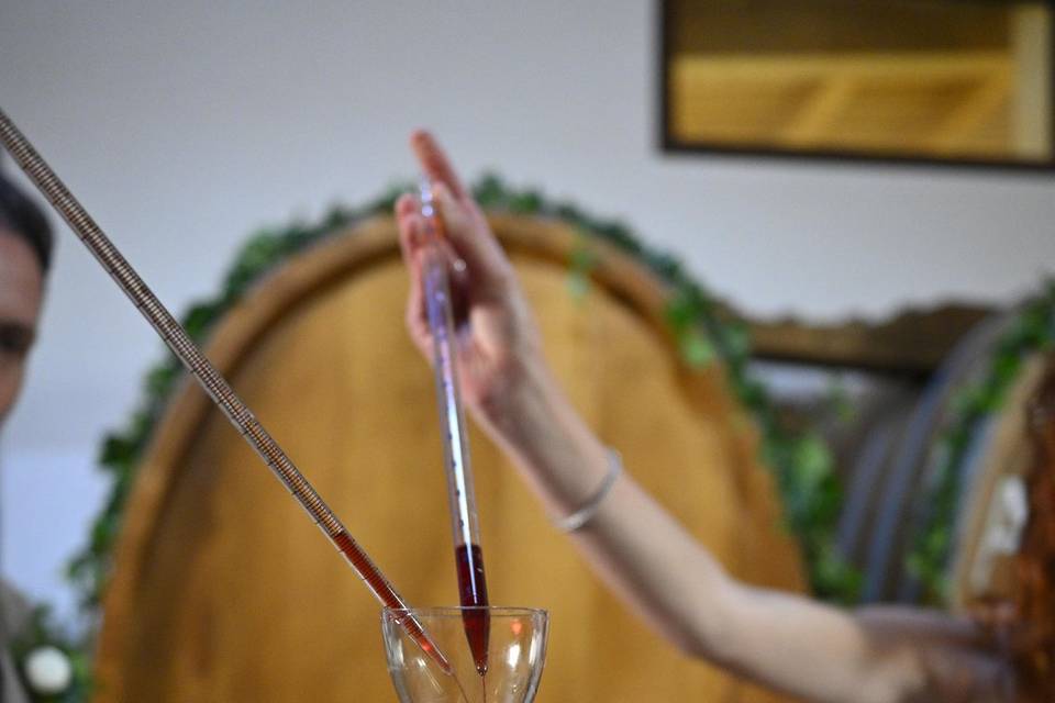 Rito del vino