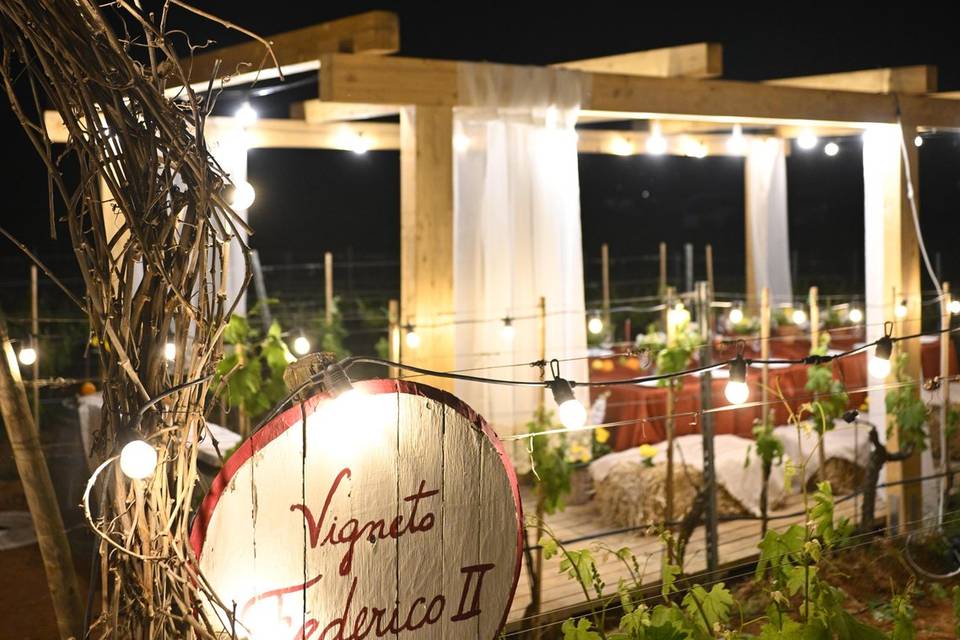 Sotto le Luci della Vigna