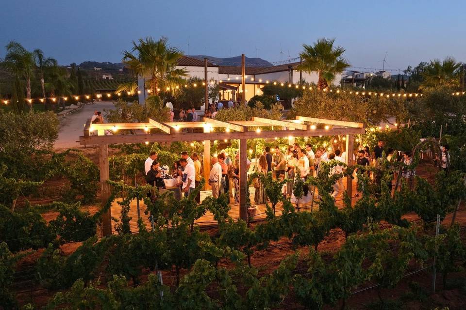 Aperitivo in vigna