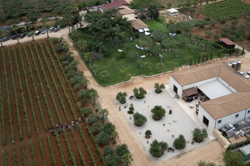 Panoramica della cantina
