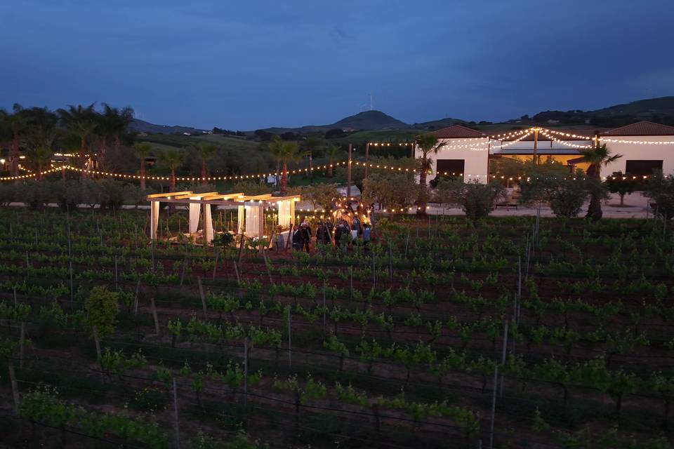 Tra i Filari dell’Amore