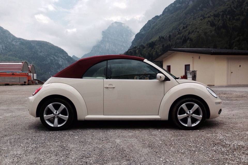 New Beetle