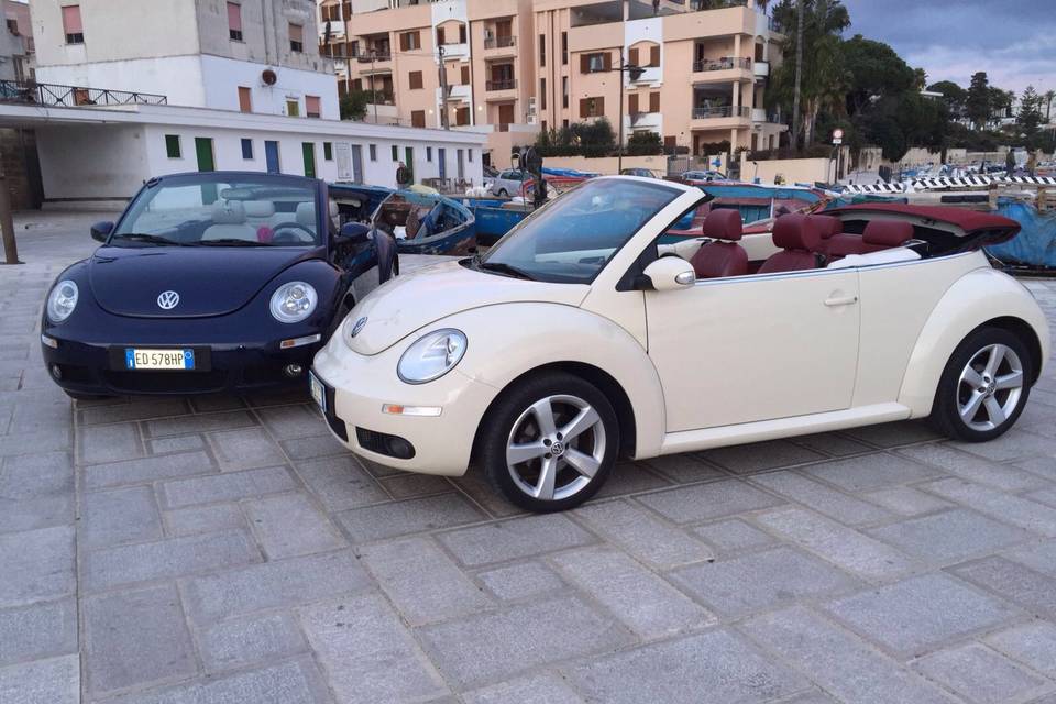 New Beetle