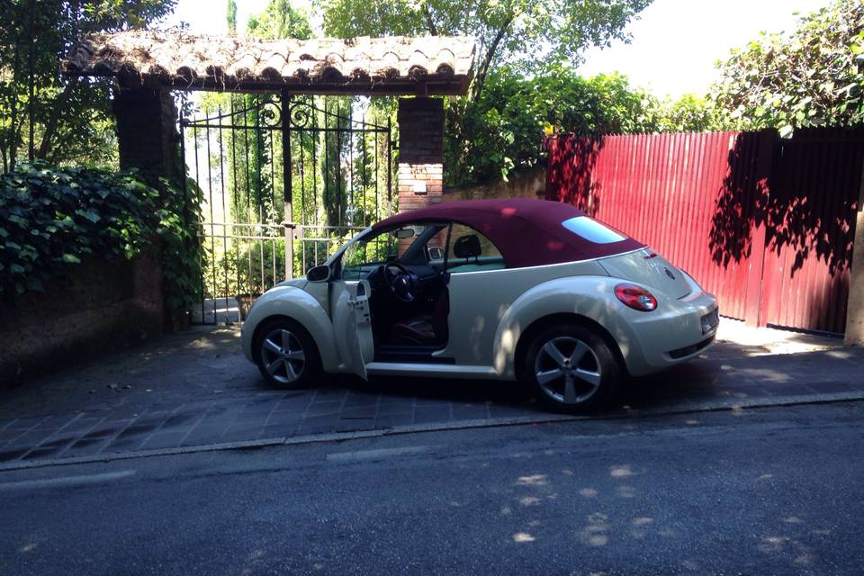 New Beetle