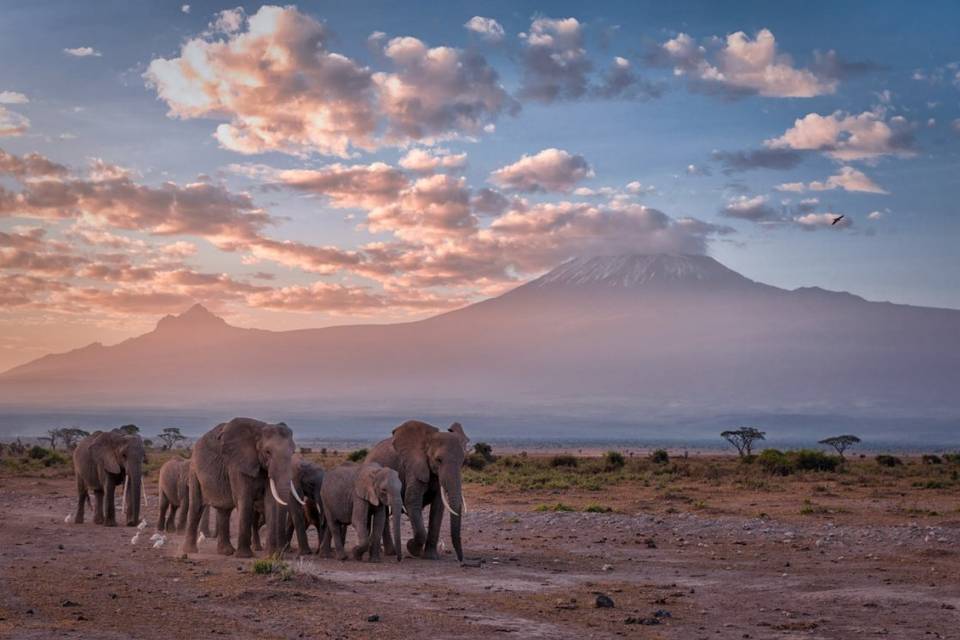 Un safari in Kenya…