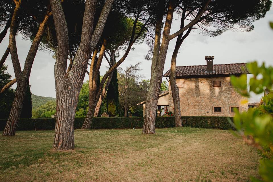Pineta