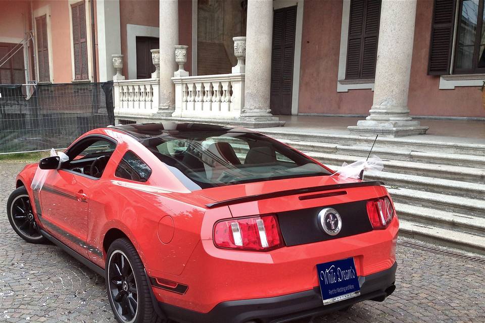 Mustang Boss