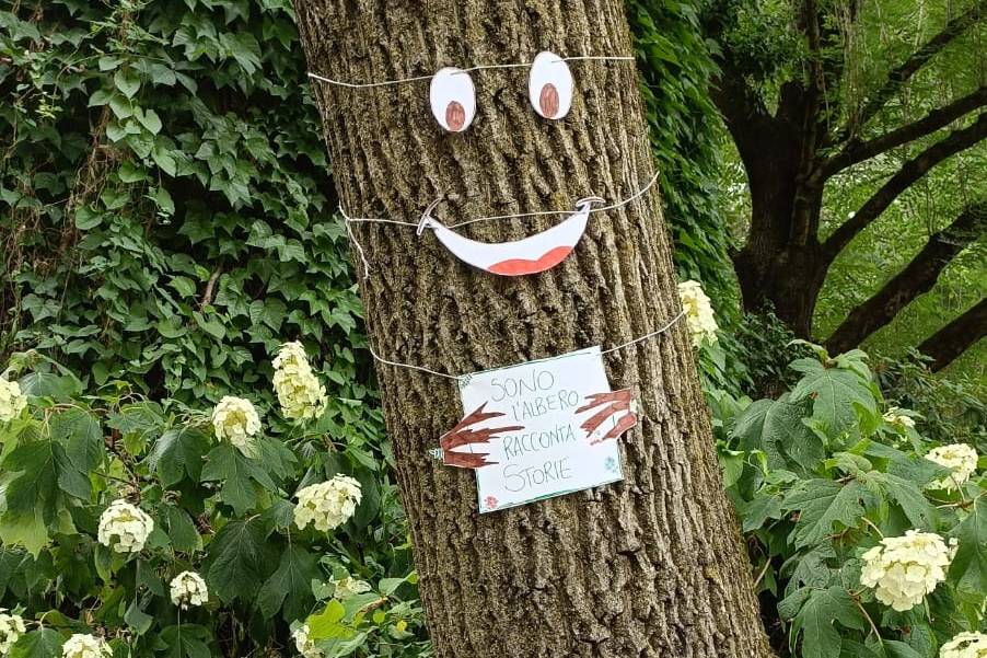 L'albero delle storie