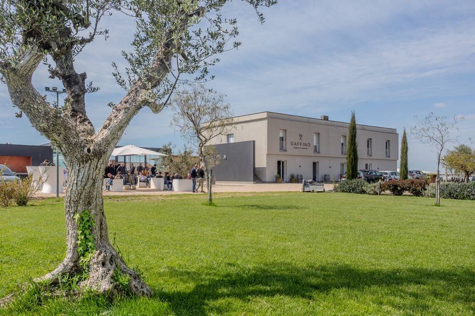 Vista aziendale