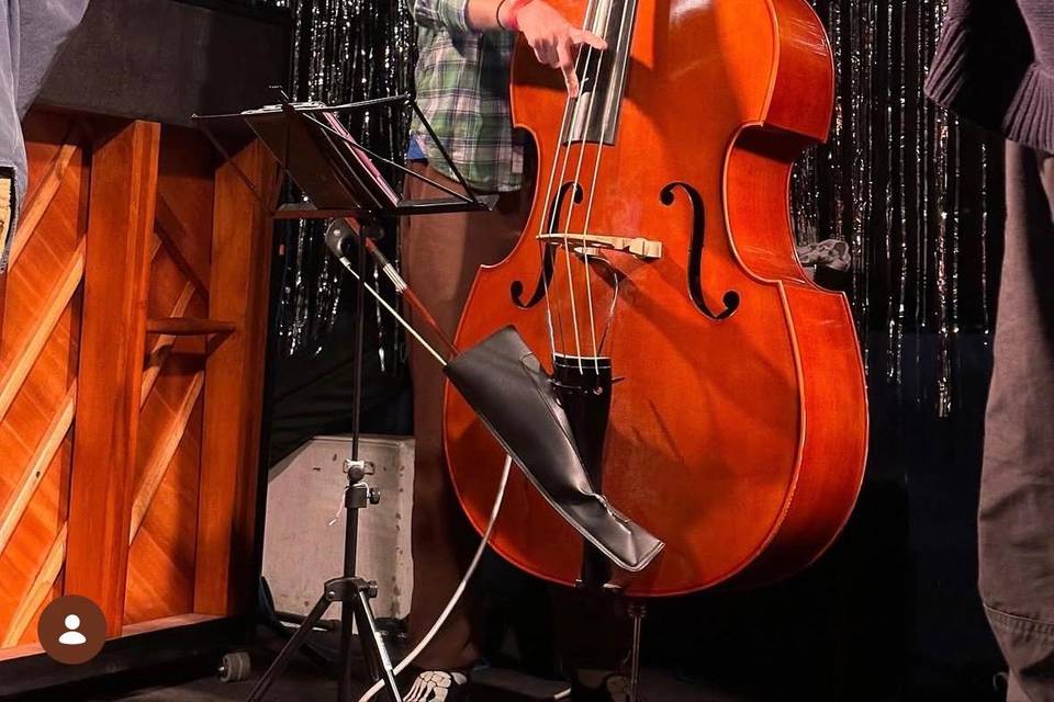 Il nostro bassista
