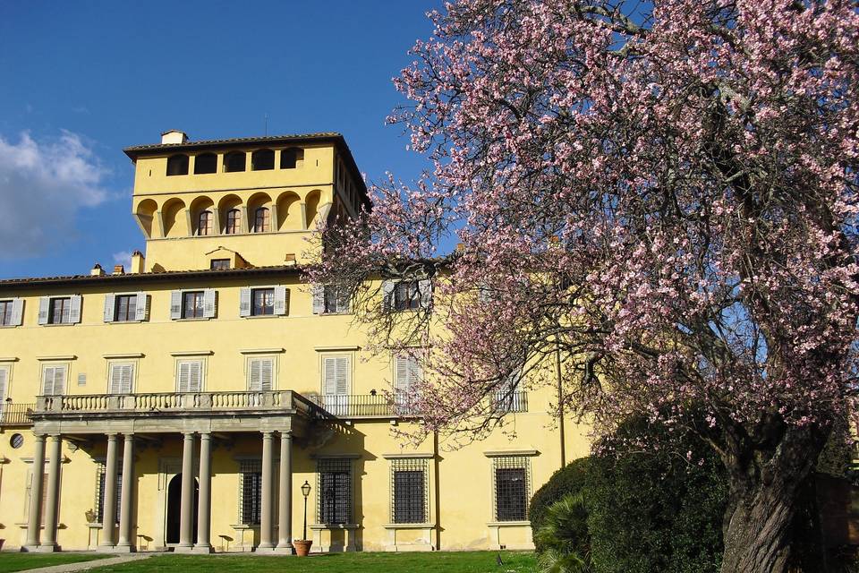 Villa e Mandorlo fiorito