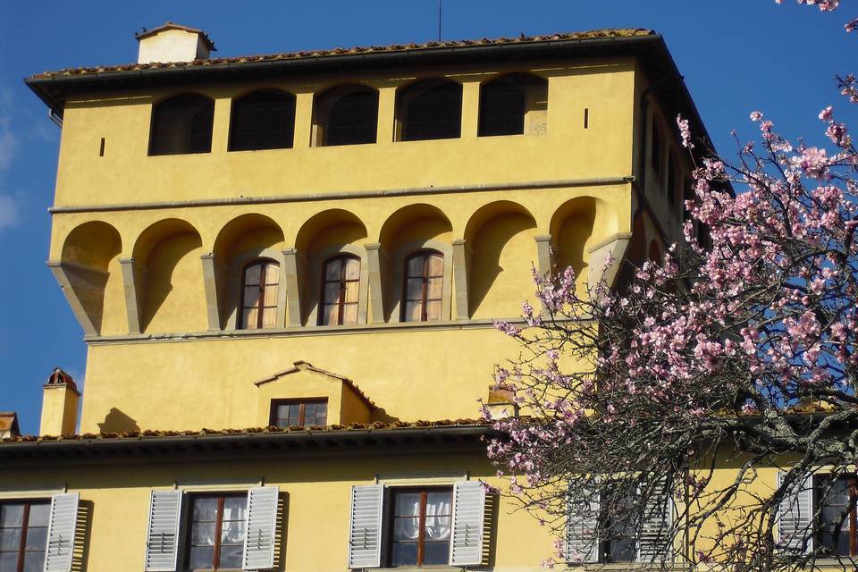 La Torre e il Mandorlo in fior