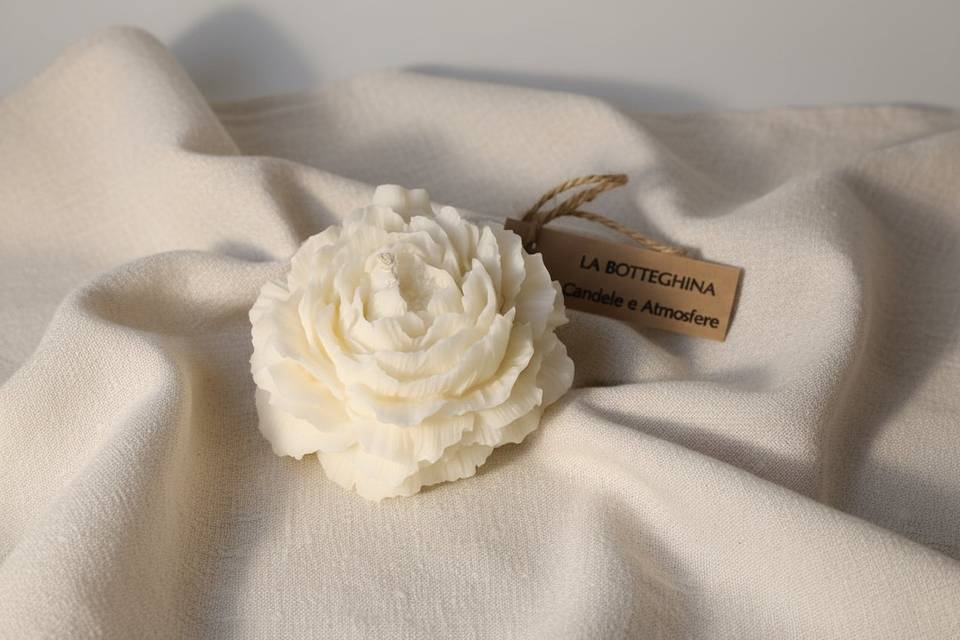 Candela Flora N°1