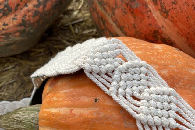 Half Hitch Knots