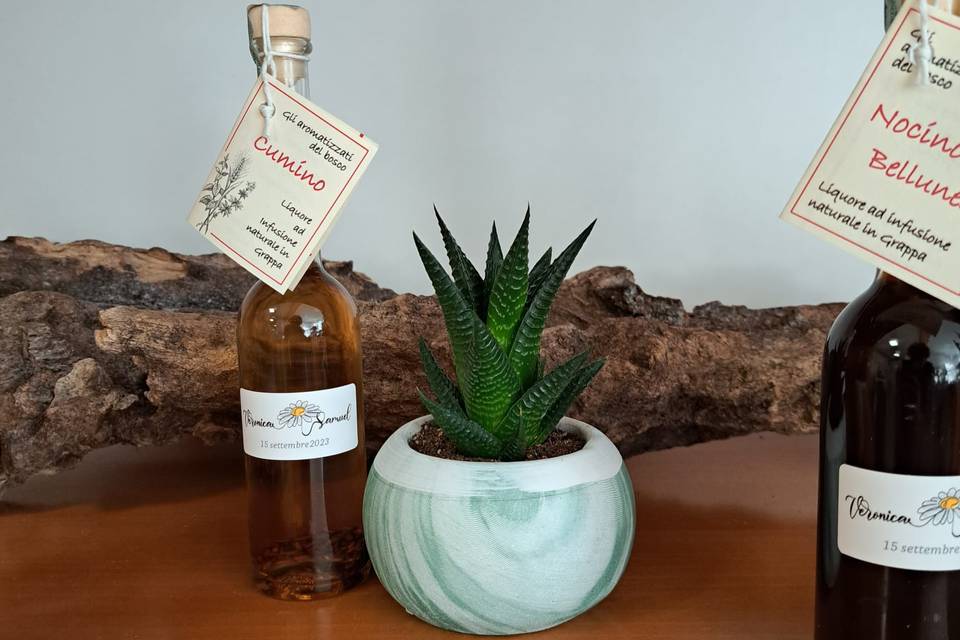 Grappa e portapianta