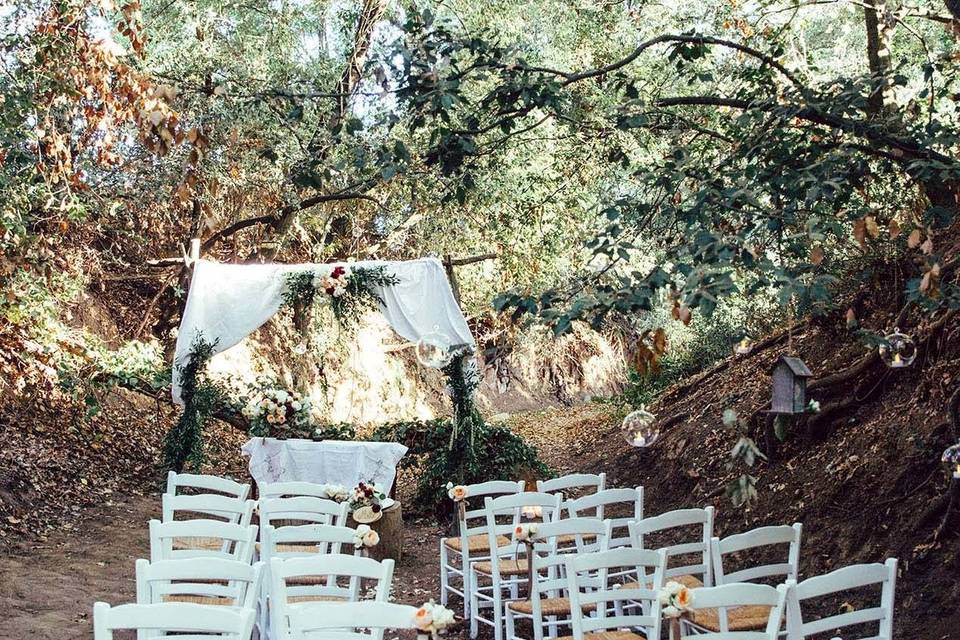 Matrimonio nel bosco