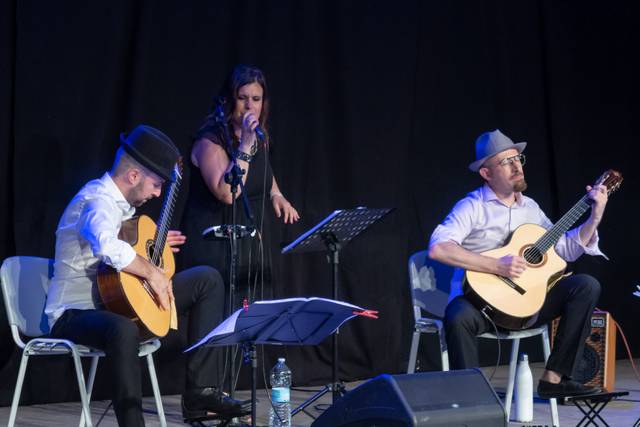 14 Strings Acoustic Trio