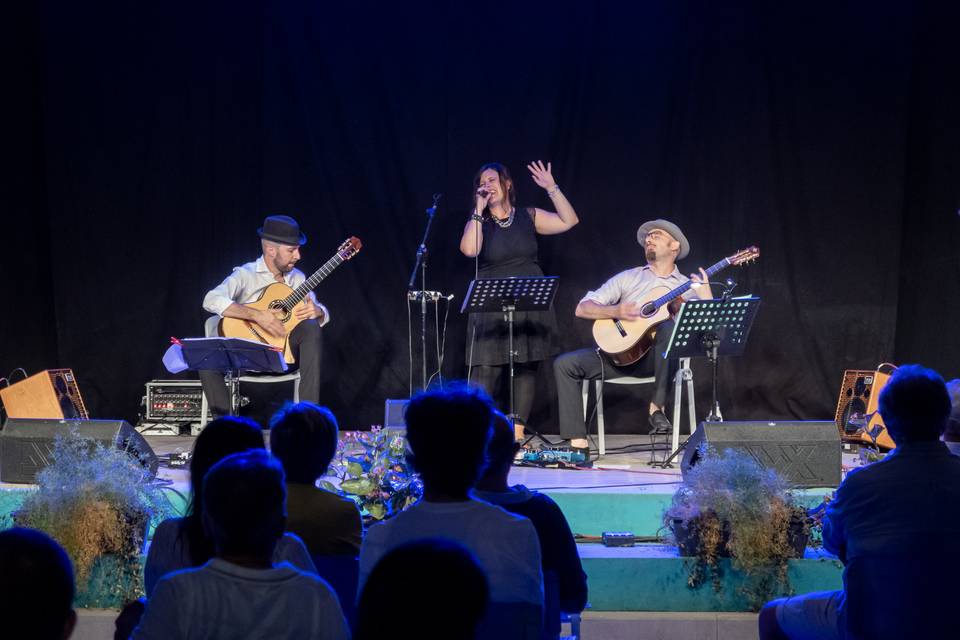 14 Strings Acoustic Trio