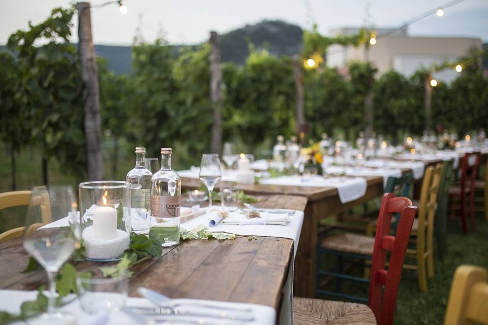 Cena informale tra le vigne