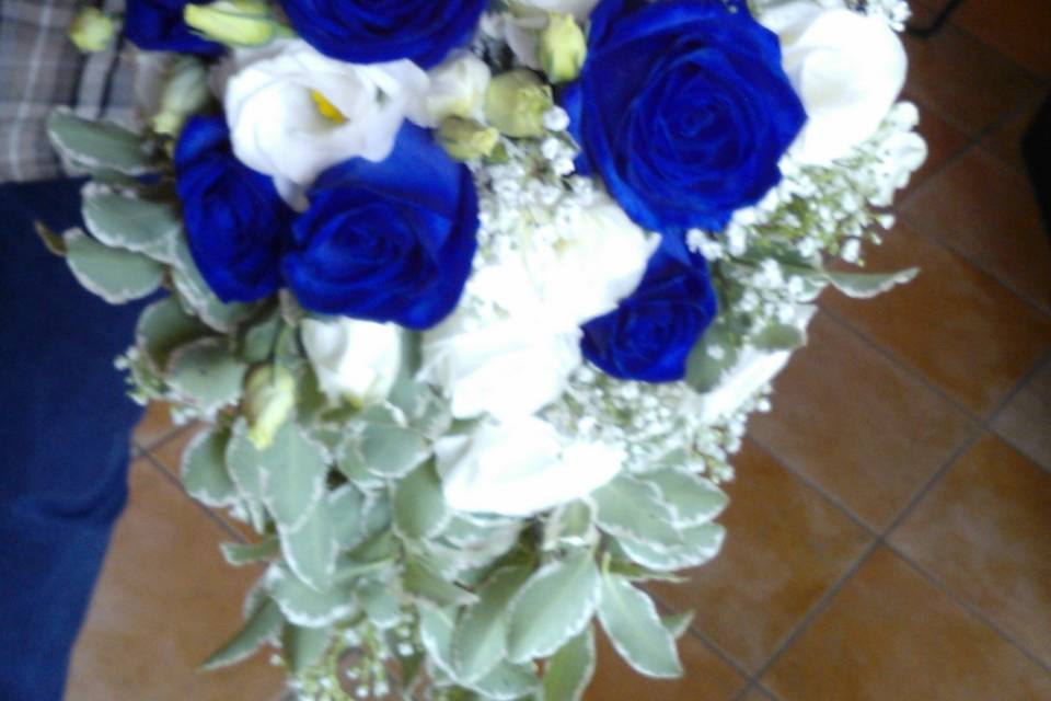 Rose blu lisiantus e pitosfori