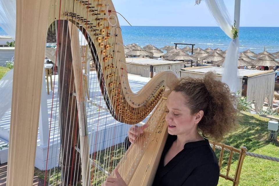 Armonie D'Arpa