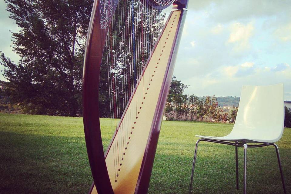 Arpa celtica Avellino