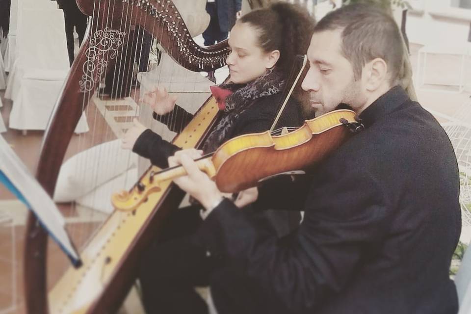 Musica Arpa Avellino