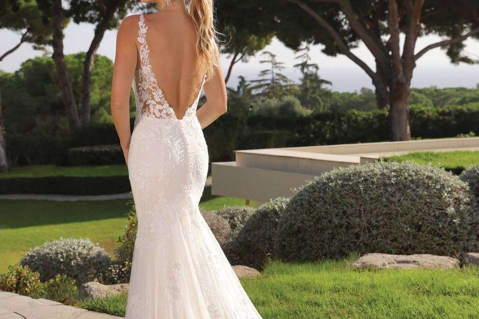 Pigal-pronoviasladybirdcrista