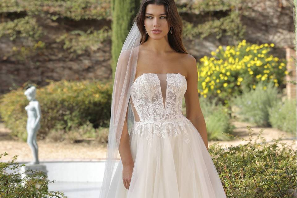 Pigal-pronovias ladybird isra