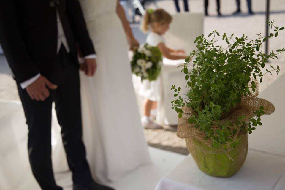 Virgilio-matrimonio-cuneo