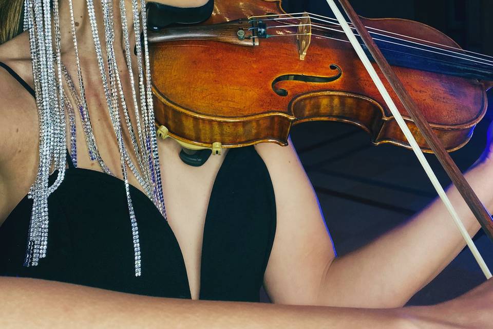 Violin