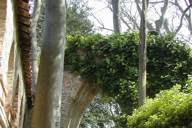 Scorci Giardino