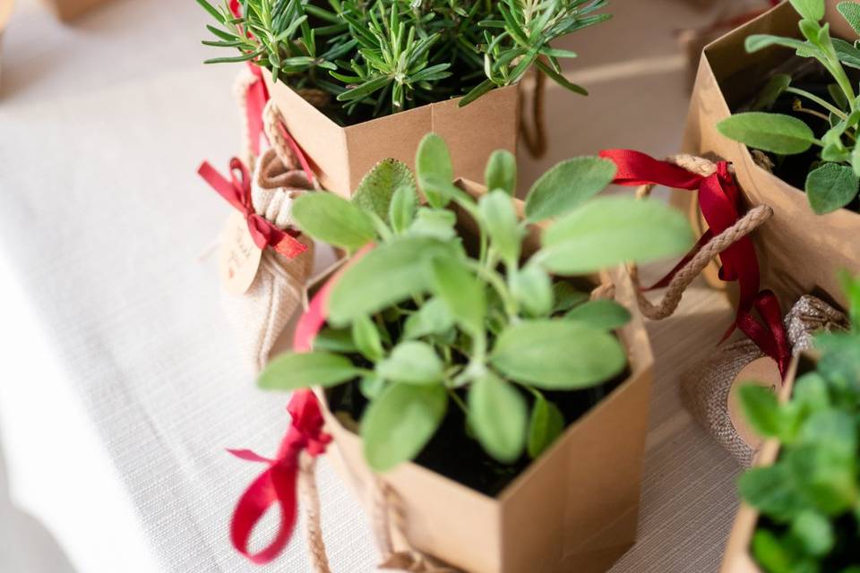 Guest favors