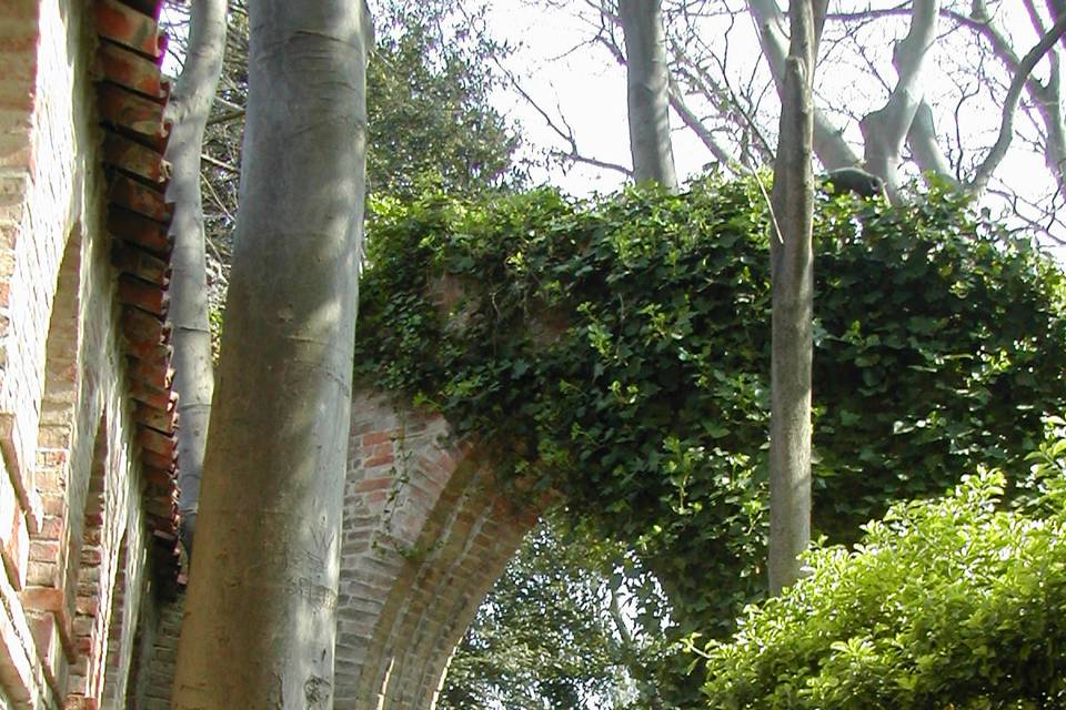 Scorci Giardino