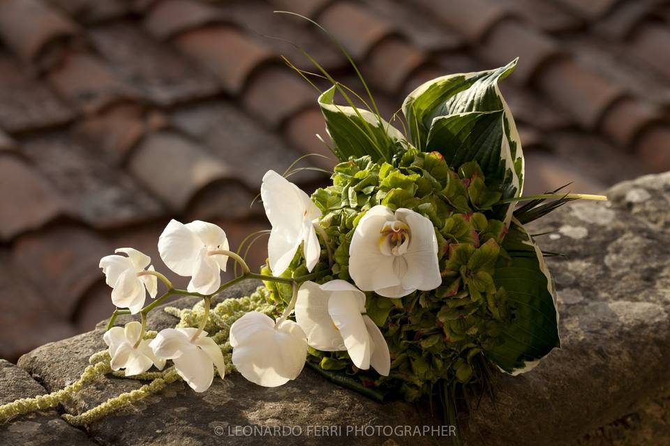 Fotografo Matrimonio a Verona