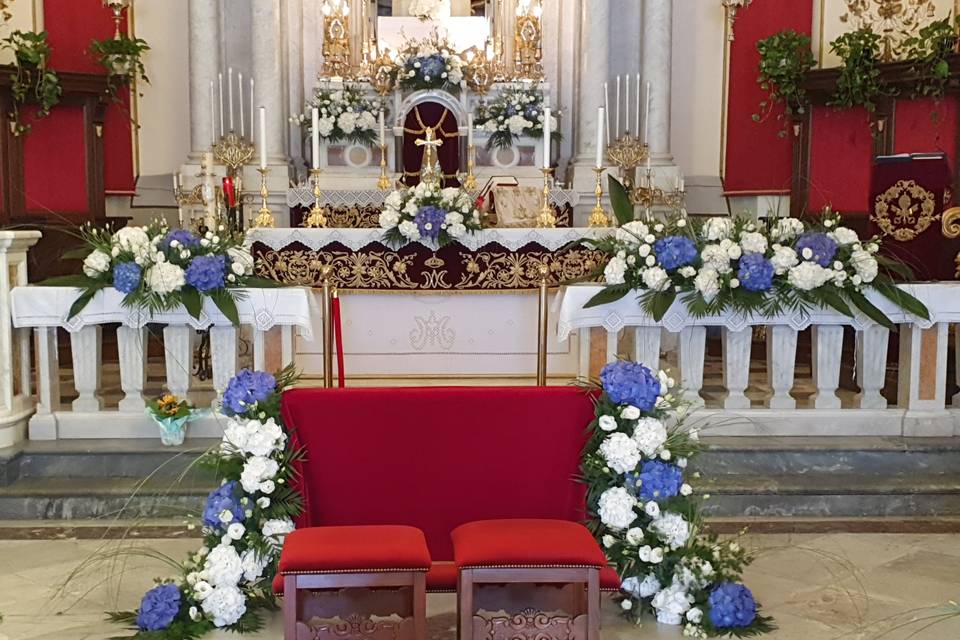 Ortensie blu e bianco