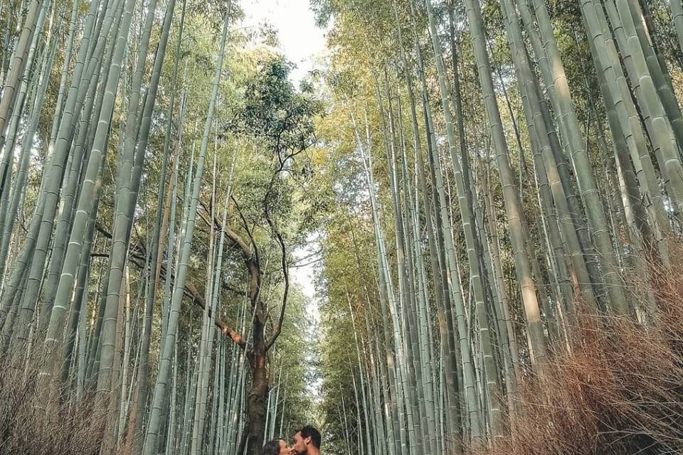Giappone
