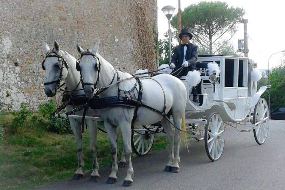 Carrozza bianca