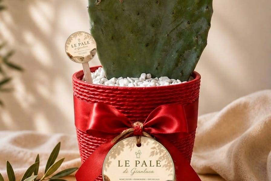 Idee Regalo