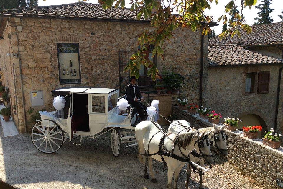 Carrozza bianca