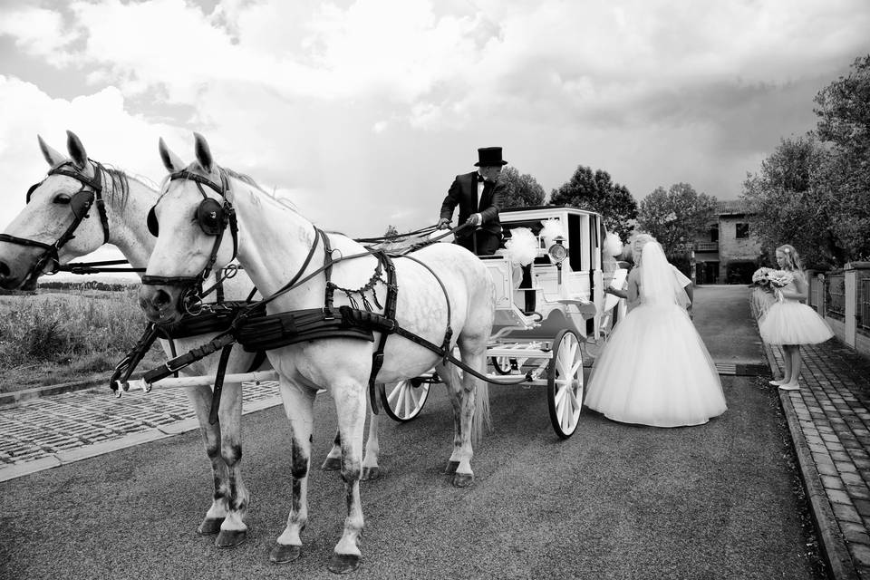 Carrozza bianca Sovicille