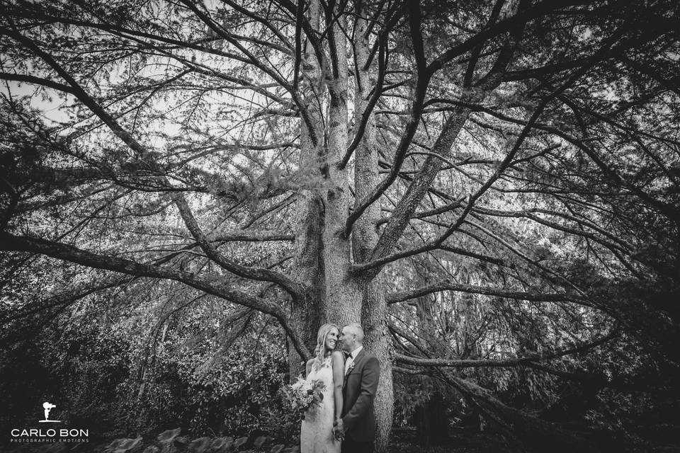 Bride and groom