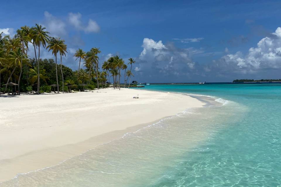 Maldive
