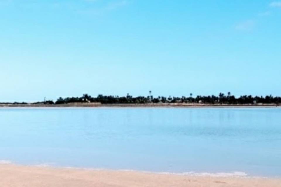 Jaffa