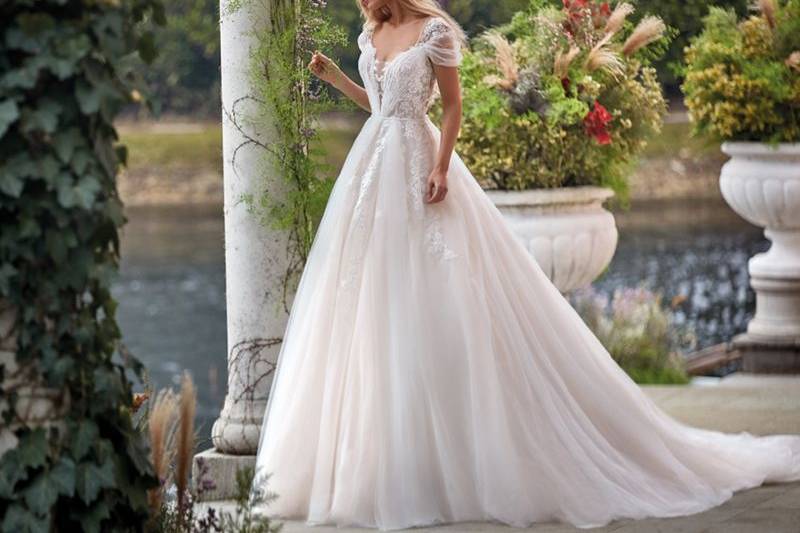 Colet by Nicole Sposa