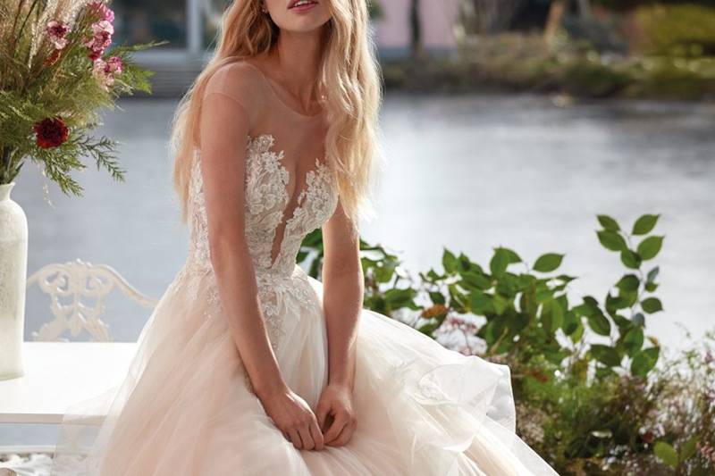 Colet by Nicole Sposa