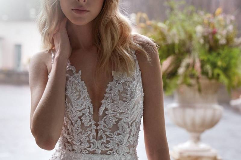 Colet by Nicole Sposa