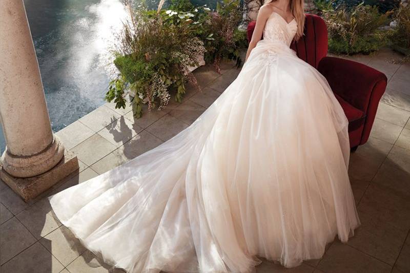 Colet by Nicole Sposa