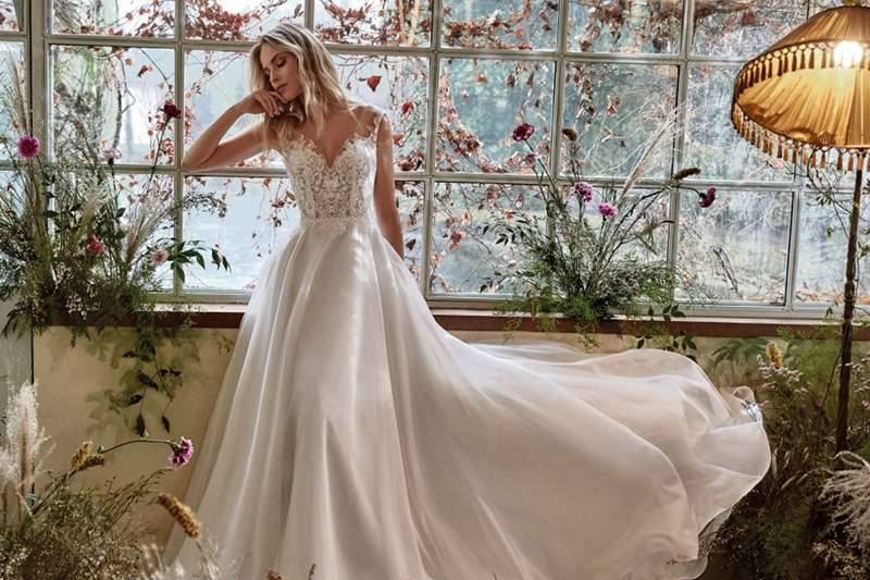 Colet by Nicole Sposa