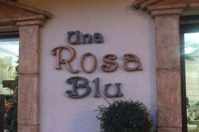 Una Rosa blu